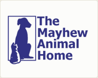 The Mayhew Animal Home