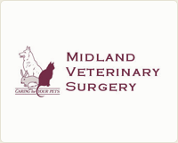 Midland Veterinary Surgery