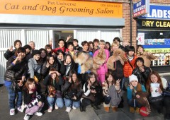 Japanese students visit Pet Universe Cat and Dog Grooming Salon
