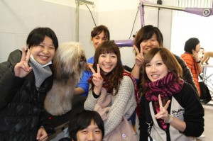 japanese-student-visiting-pet-universe-grooming-salon